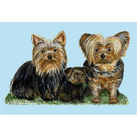 BETSY DRAKE Betsy Drake DM068G Yorkies Door Mat 30"x50" DM068G